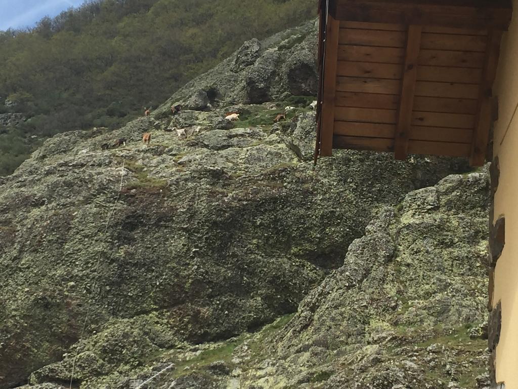 El Invernal De Picos Portilla de la Reina Ngoại thất bức ảnh